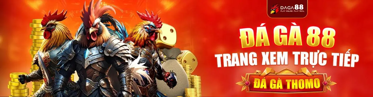 Hình ảnh đối tác 3king link mới đang phát triển